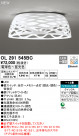 ODELIC ǥå 󥰥饤 OL291545BC