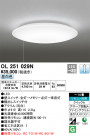ODELIC ǥå 󥰥饤 OL251029N