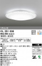 ODELIC ǥå 󥰥饤 OL251038