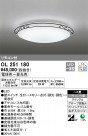 ODELIC ǥå 󥰥饤 OL251180