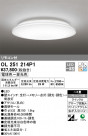 ODELIC ǥå 󥰥饤 OL251214P1