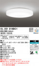 ODELIC ǥå 󥰥饤 OL251219BC1