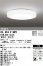 ODELIC ǥå 󥰥饤 OL251219P1