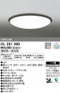 ODELIC ǥå 󥰥饤 OL251260