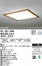 ODELIC ǥå 󥰥饤 OL251398