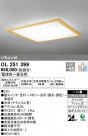ODELIC ǥå 󥰥饤 OL251399