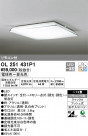 ODELIC ǥå 󥰥饤 OL251431P1