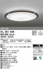 ODELIC ǥå 󥰥饤 OL251445