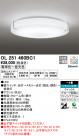 ODELIC ǥå 󥰥饤 OL251460BC1