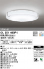 ODELIC ǥå 󥰥饤 OL251460P1