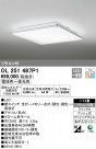 ODELIC ǥå 󥰥饤 OL251487P1