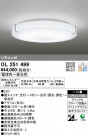 ODELIC ǥå 󥰥饤 OL251499