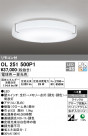 ODELIC ǥå 󥰥饤 OL251500P1