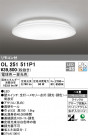 ODELIC ǥå 󥰥饤 OL251511P1