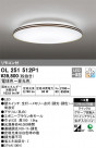 ODELIC ǥå 󥰥饤 OL251512P1