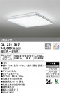 ODELIC ǥå 󥰥饤 OL251517