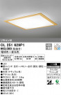 ODELIC ǥå 󥰥饤 OL251629P1