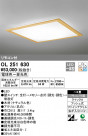 ODELIC ǥå 󥰥饤 OL251630