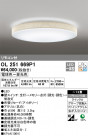 ODELIC ǥå 󥰥饤 OL251669P1