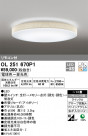 ODELIC ǥå 󥰥饤 OL251670P1