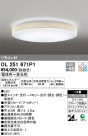 ODELIC ǥå 󥰥饤 OL251671P1