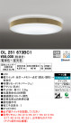 ODELIC ǥå 󥰥饤 OL251673BC1