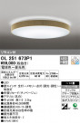 ODELIC ǥå 󥰥饤 OL251673P1