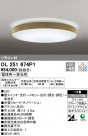 ODELIC ǥå 󥰥饤 OL251674P1