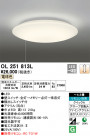 ODELIC ǥå 󥰥饤 OL251813L