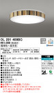 ODELIC ǥå 󥰥饤 OL291409BC