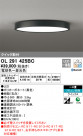 ODELIC ǥå 󥰥饤 OL291425BC