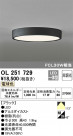 ODELIC ǥå 󥰥饤 OL251729