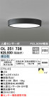ODELIC ǥå 󥰥饤 OL251736