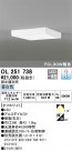 ODELIC ǥå 󥰥饤 OL251738