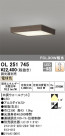 ODELIC ǥå 󥰥饤 OL251745