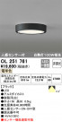 ODELIC ǥå 󥰥饤 OL251761