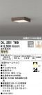 ODELIC ǥå 󥰥饤 OL251769
