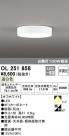ODELIC ǥå 󥰥饤 OL251858