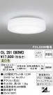 ODELIC ǥå 󥰥饤 OL291090WD