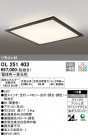 ODELIC ǥå 󥰥饤 OL251403