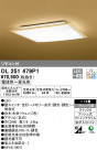 ODELIC ǥå 󥰥饤 OL251479P1