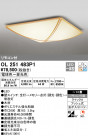 ODELIC ǥå 󥰥饤 OL251483P1