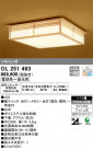 ODELIC ǥå 󥰥饤 OL251493
