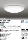 ODELIC ǥå 󥰥饤 OL251498N