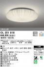 ODELIC ǥå 󥰥饤 OL251818