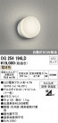 ODELIC ǥå ƥꥢ饤 OG254194LD