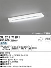 ODELIC ǥå ١饤 XL251719P1
