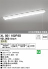 ODELIC ǥå ١饤 XL501102P3D