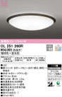 ODELIC ǥå 󥰥饤 OL251260R