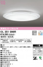 ODELIC ǥå 󥰥饤 OL251099R
